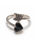 Anillo Sombra Ártica