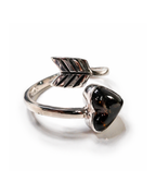 Anillo Sombra Ártica