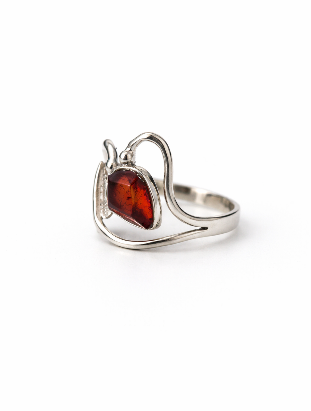 Anillo Lacandona
