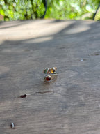 Anillo Dúo