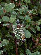 Anillo Íseld