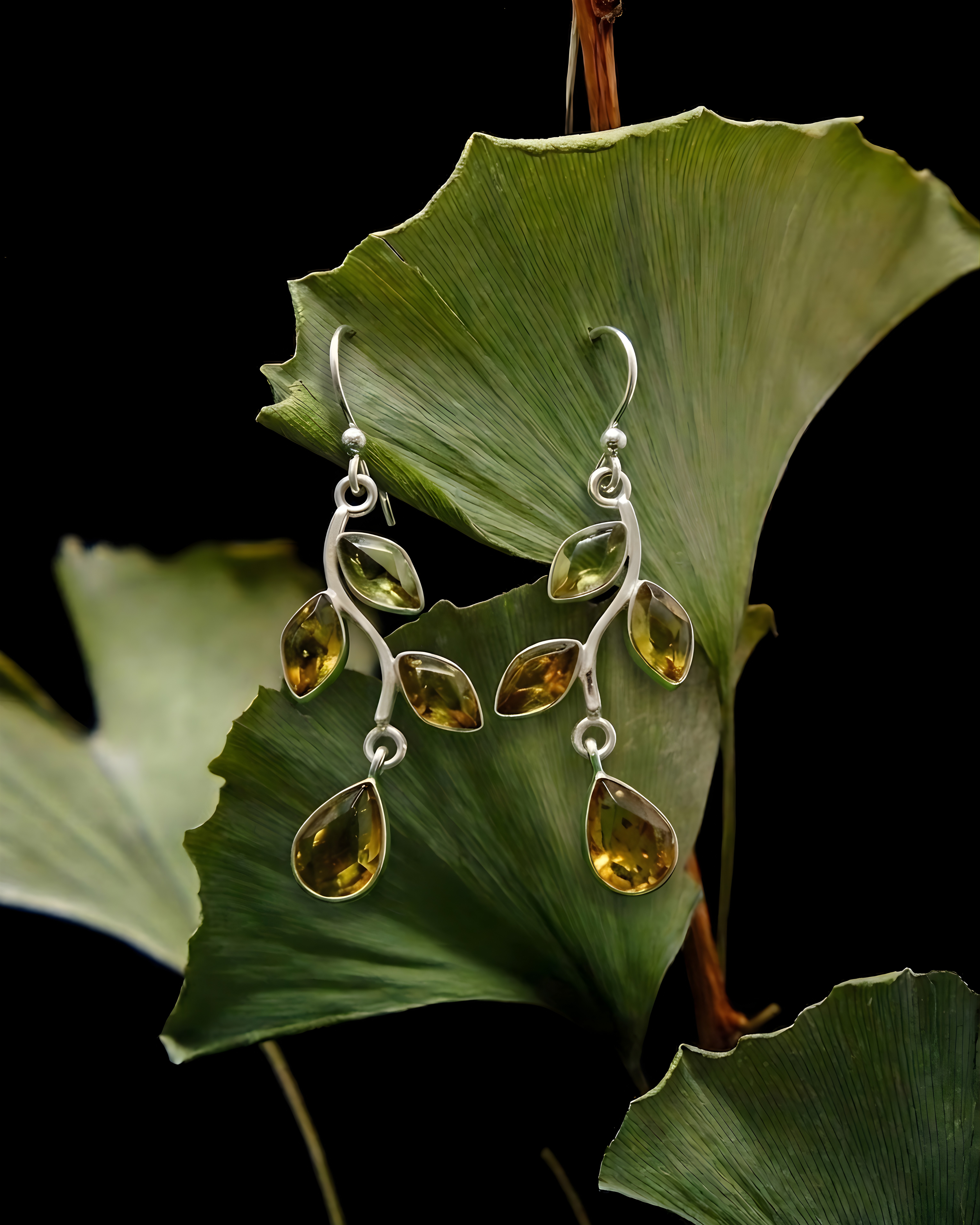 Aretes Lluvia en la Selva